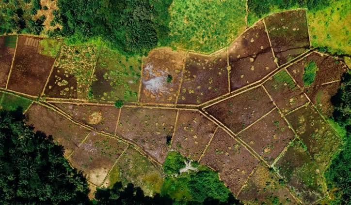 Bursa'da dev arsa satışları: Bedelleri açıklandı