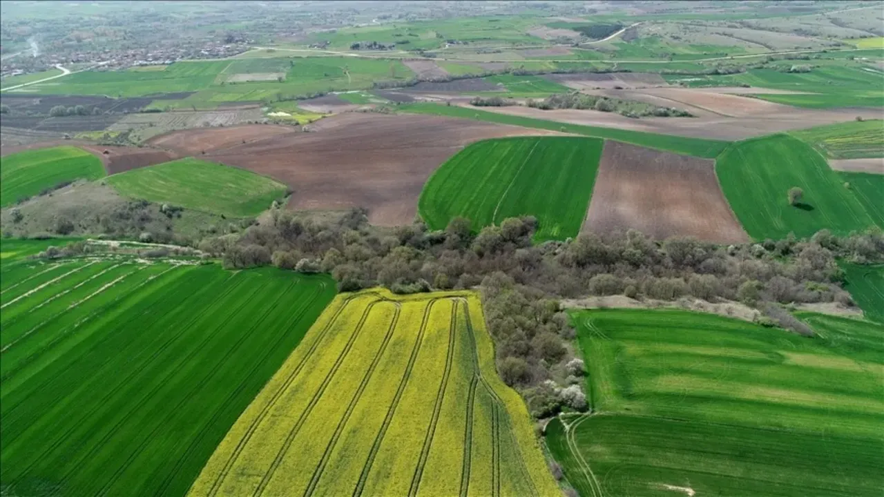 Milli Emlak 590 taşınmazı ihaleye çıkarıyor
